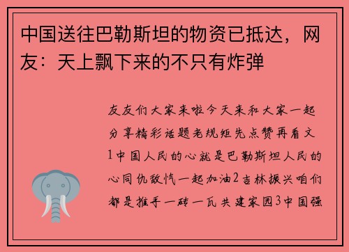 中国送往巴勒斯坦的物资已抵达，网友：天上飘下来的不只有炸弹